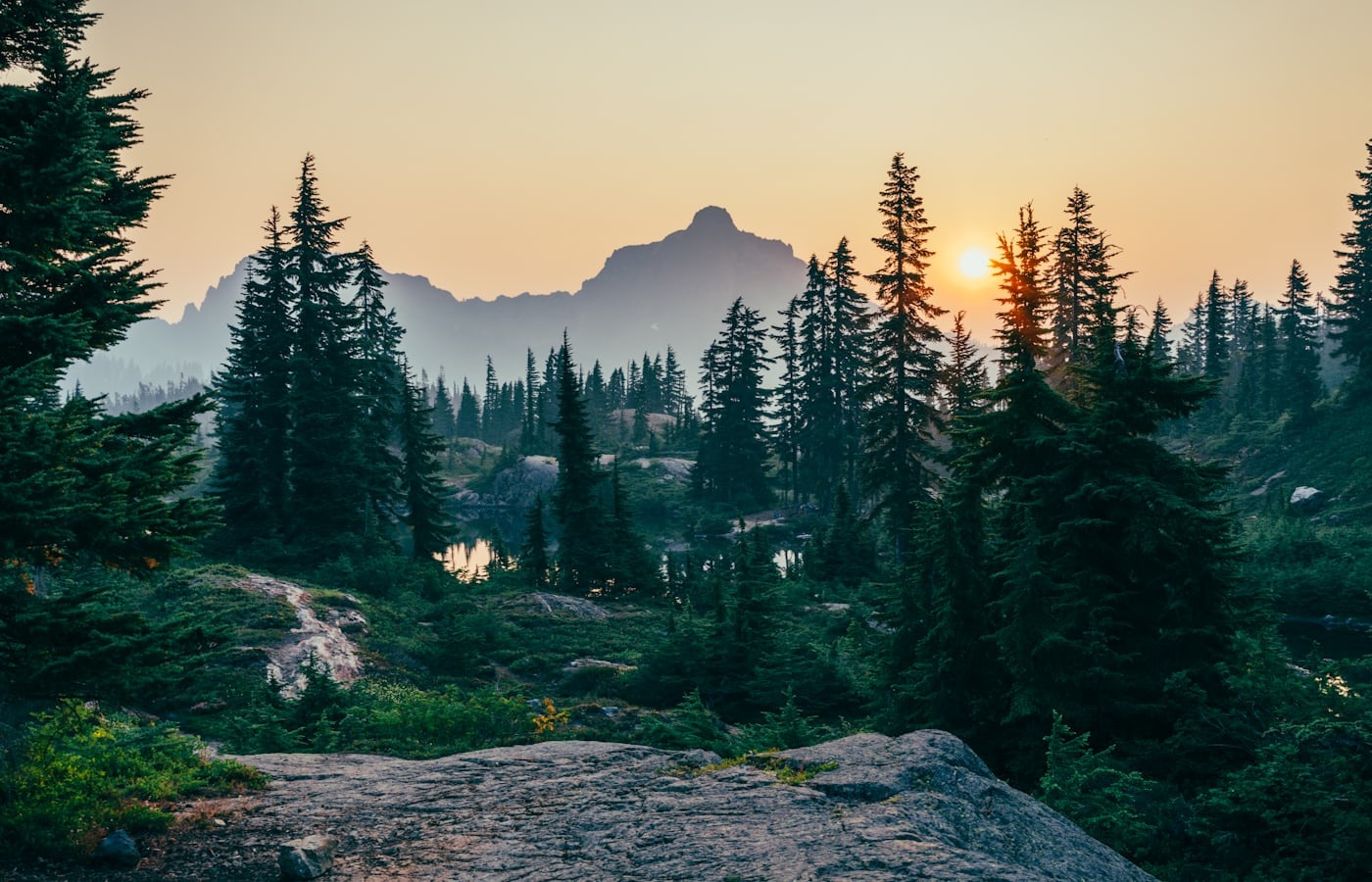 imageye___-_imgi_31_photo-1511497584788-876760111969